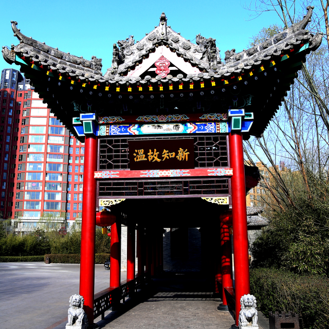 拍拍视频直播全集_拍拍资料大全-YY官方