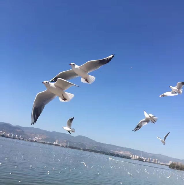 从头再来的回放