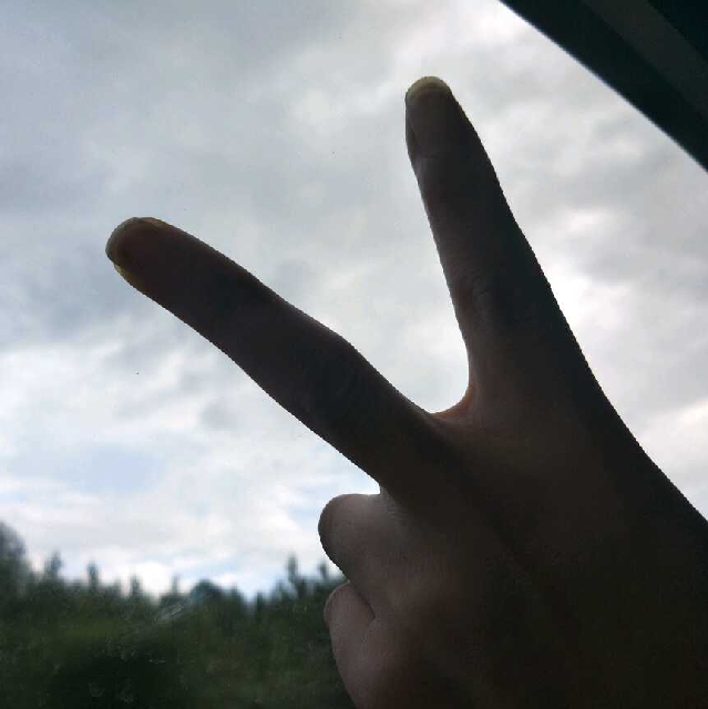 我性李直播间关注粉丝_我性李粉丝留言_我性