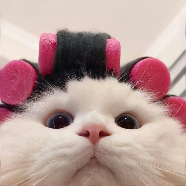 头像