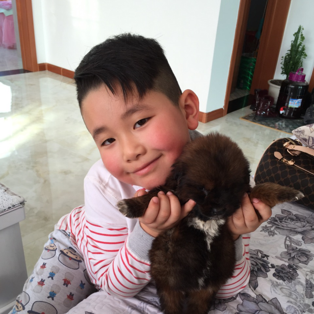 淘宝修改Y负数年龄\/删除YY艺名看说明