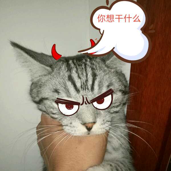 小潮 求久伴直播间关注粉丝_小潮 求久伴粉丝