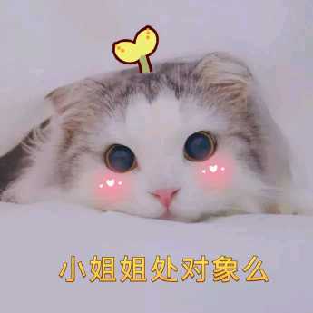 主播封面