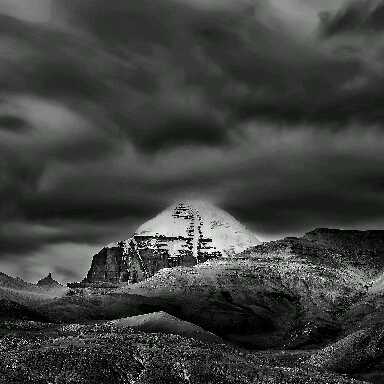 熊猫小马哥直播间关注粉丝_熊猫小马哥粉丝留