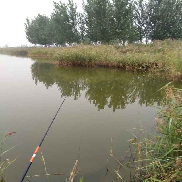 起点象棋直播间关注粉丝_起点象棋粉丝留言_