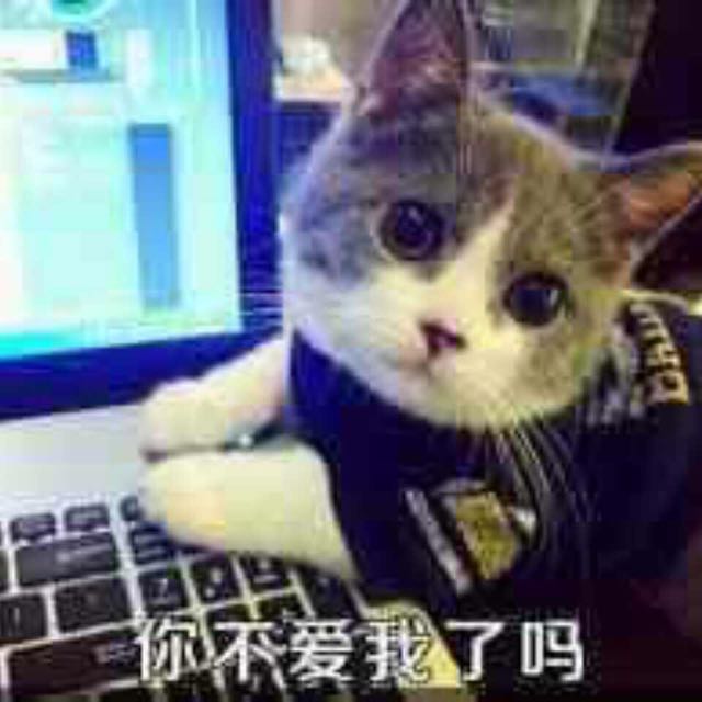 u2180825642qd9AoyU.jpeg