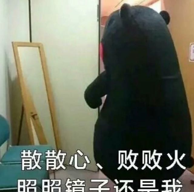 天德跆拳道 董教练直播间关注粉丝_天德跆拳道