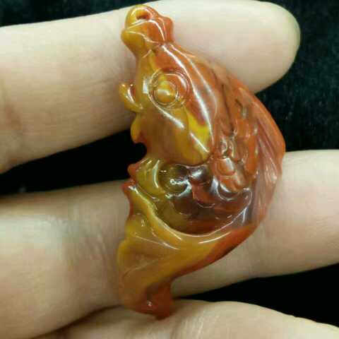 狼要回头,必有原有直播间关注粉丝_狼要回头,