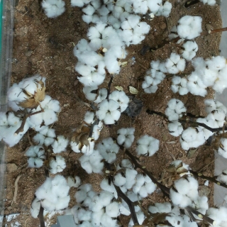 忽悠主播新闻全集_忽悠主播最新资讯-YY官方