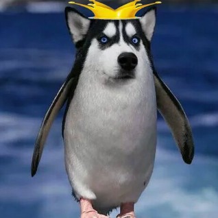 u1225867671lWHupOi.jpg