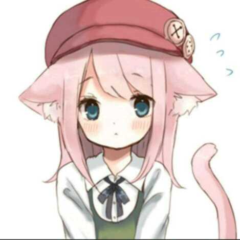 小猫咪分享的短拍