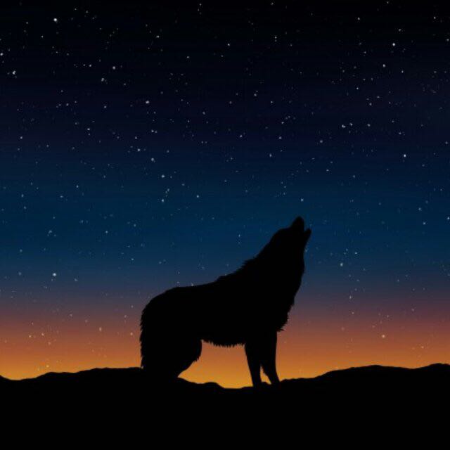 狼亦天视频直播全集_狼亦天资料大全-YY官方