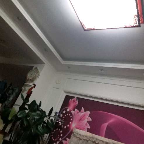 性感美女直播间关注粉丝_性感美女粉丝留言_