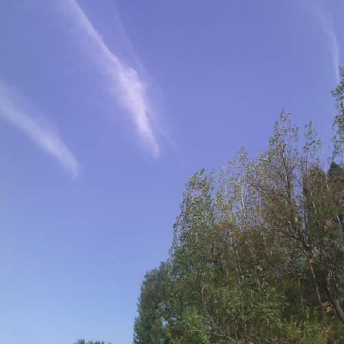 大熊直播间关注粉丝_大熊粉丝留言_大熊粉丝