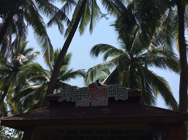 我叫初恋直播间关注粉丝_我叫初恋粉丝留言_