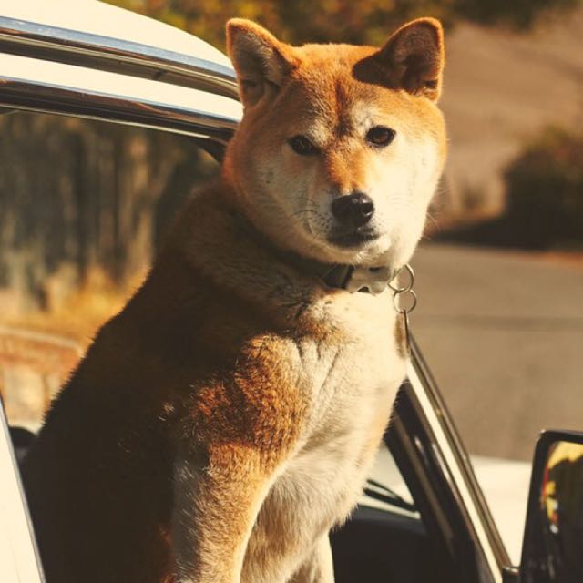 海飞求红包晚上和主播啪啪啪直播间关注粉丝_